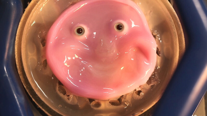 human skin smiley robot