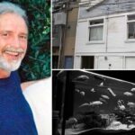 Brian Egg case in San Francisco’s South of Market neighborhood